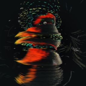 永山学と寺田創一によるプロジェクト Mnst Sarah Bonito迎えた にじいろワールド 本日リリース Spincoaster スピンコースター