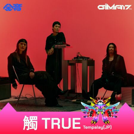 『觸 TRUE』