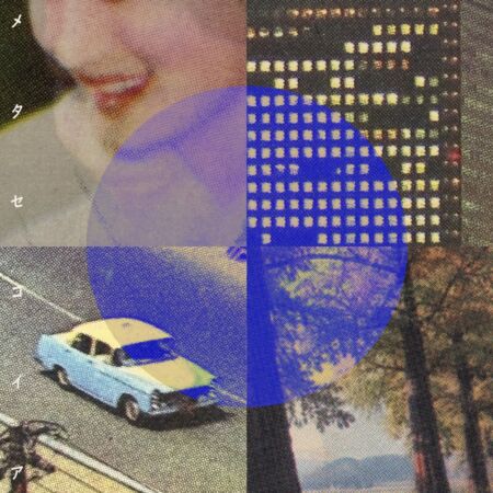 blend house, sucola『メタセコイア』